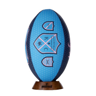 Ruckfield Blue and Pink Ball