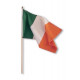 Irish Flag on a Stick 30 x 40 cm