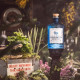 Gin drumshanbo gunpowder 50cl 43ï¿½