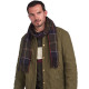 Barbour Galingale Tartan Classic Scarf