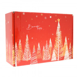 Gift Box Red Christmas Mini Model