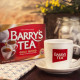 Pack of 3 Barry's Tea Gold Blend 80 sachets 250g