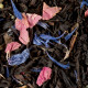 The Tea Black Tea Poppy Tea 100g