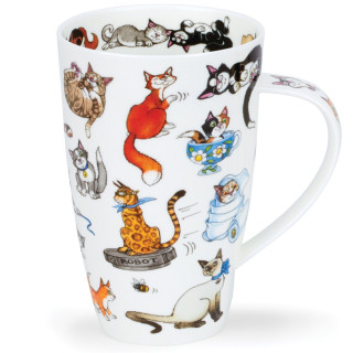 Mug Drôle de Bêtes Dunoon 600ml