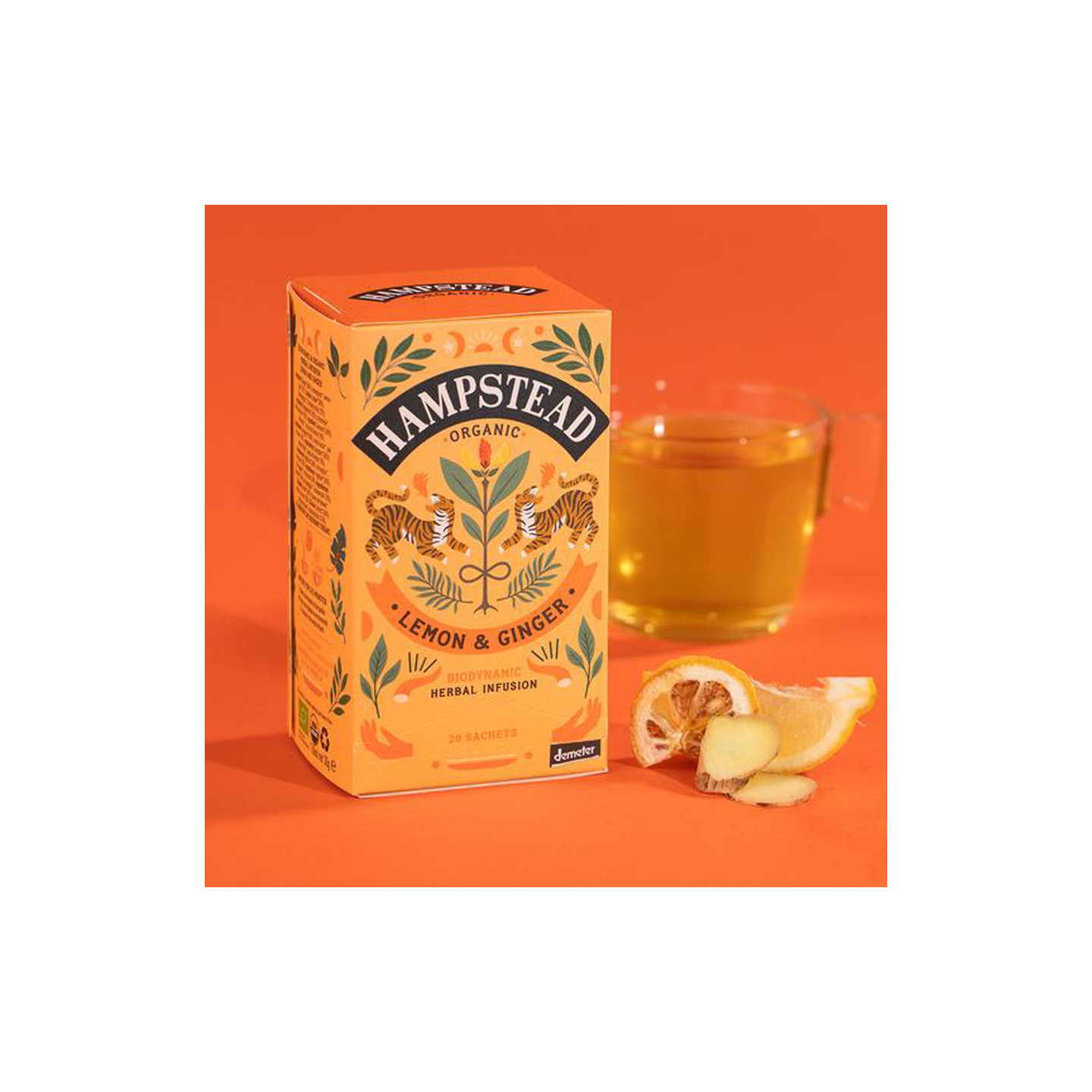 Infusion Bio Citron Gingembre Hampstead Tea 20 sachets