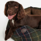 Petit Panier Pour Chien Tartan 60cm Barbour - Accessoires pour