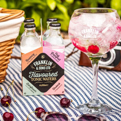 Franklin & Sons 4 Dual-flavoured Tonic Set