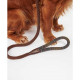 Barbour Adjustable Dog Leash