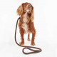 Barbour Adjustable Dog Leash