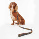 Barbour Webbing Dog Leash