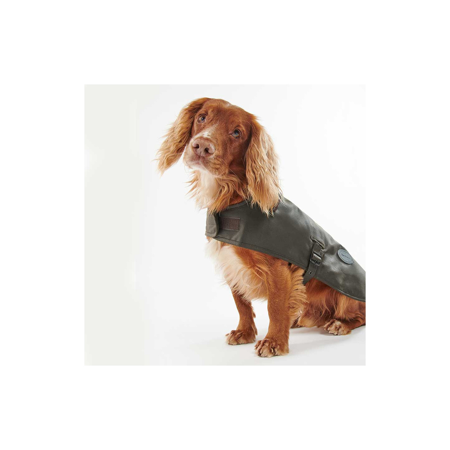Barbour Olive Wax Dog Coat