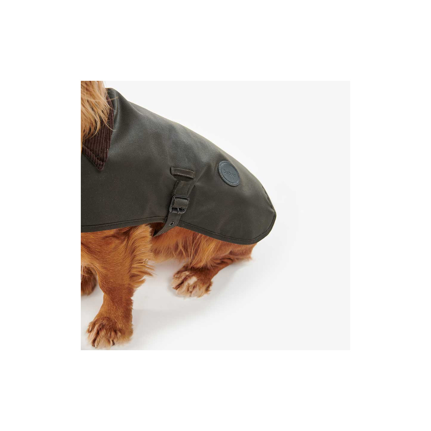 Barbour Olive Wax Dog Coat