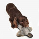 Barbour Duck Dog Toy