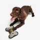 Barbour Bone Dog Toy