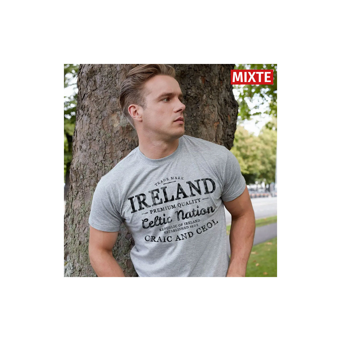 Ireland Celtic Nation Grey T-shirt