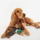 Jouet Pour Chien Faisant Barbour