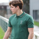 Camberabero 6 nations Ireland Green Polo Shirt