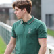 Polo 6 nations Ireland Vert Camberabero