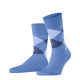 Burlington Organic Cotton Manchester Men's Socks