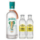 Pack Amarula Gin + 2 Tonics Franklin&Sons
