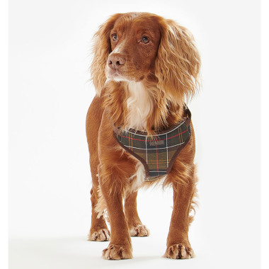 Harnais Pour Chien Classique Tartan Barbour