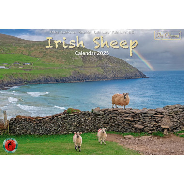 2025 Irish Sheep A4 Calendar