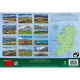 2025 Irish Sheep A4 Calendar