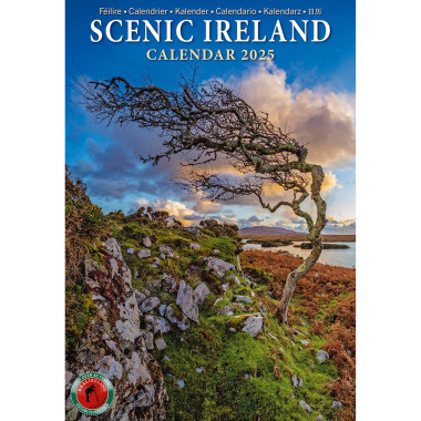 Calendrier 2025 Scenic Ireland 21x14.5cm