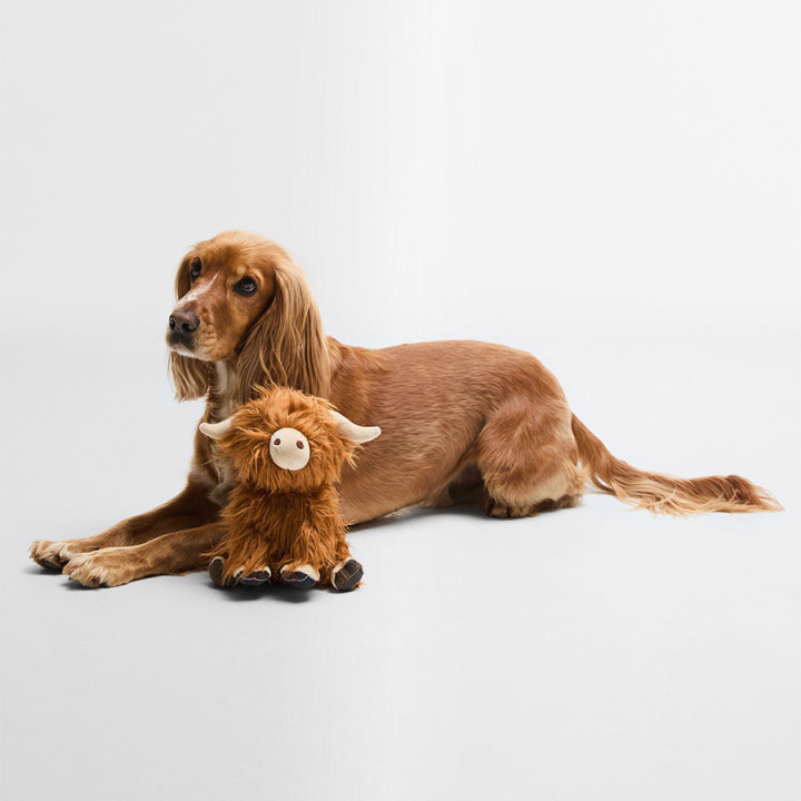 Jouet Vache Ecossaise Pour Chien Barbour