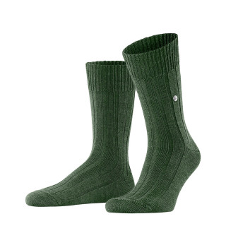 Burlington Dover Men Socks