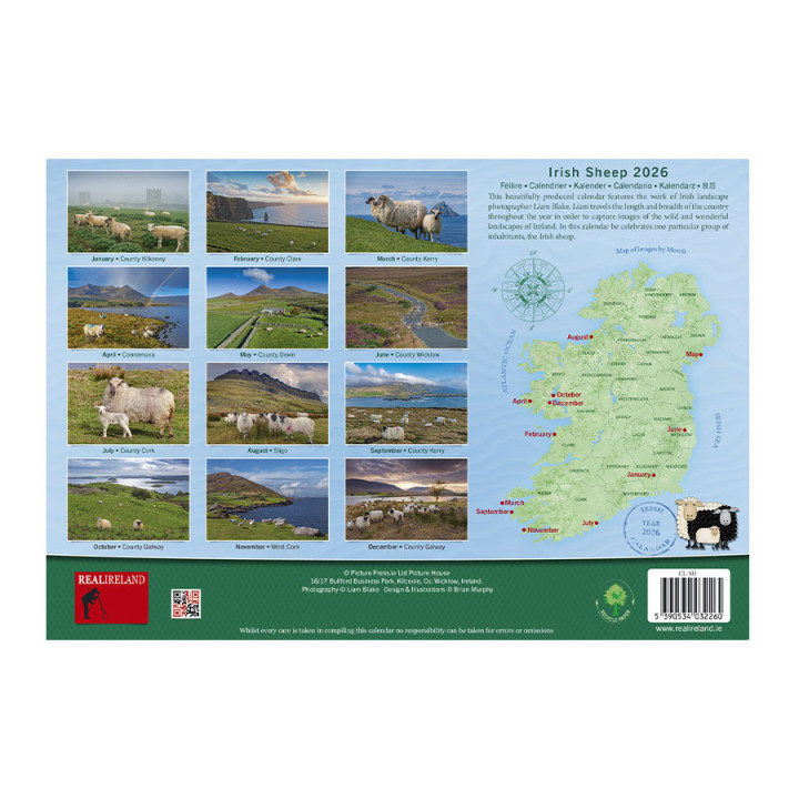 Calendrier a4 irish sheep 2026