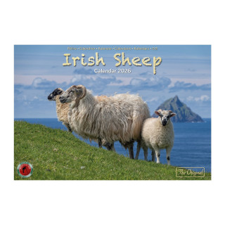 Calendrier a4 irish sheep 2026