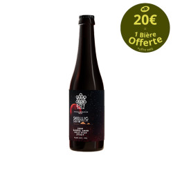 Dot brew ba skellig six 18 pole star stout 33cl 10.6ï¿½ - collab avec skellig distillery