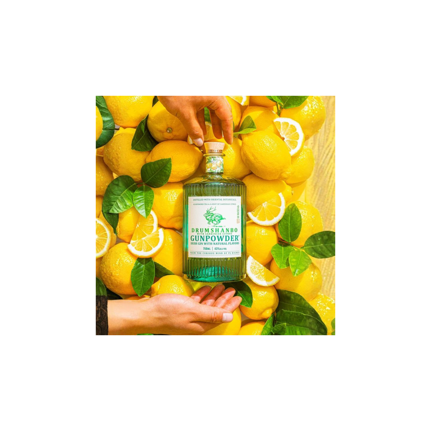 Coffret Drumshanbo Gunpowder Sardinian Citrus Gin + Verre 70cl 43% | Le Comptoir Irlandais
