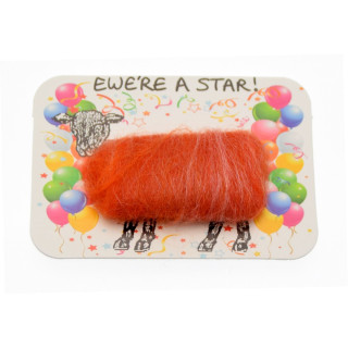 Magnet ewe are a star 4117