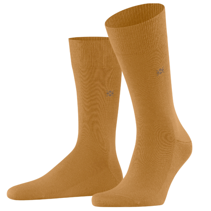 Chaussettes homme leeds burlington