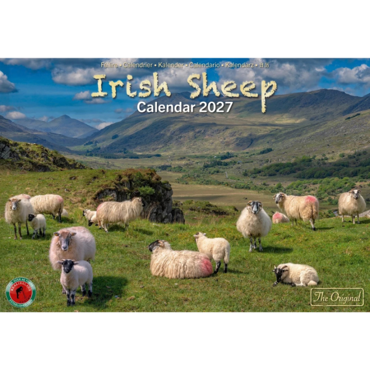 Calendrier 2027 Irish Sheep
