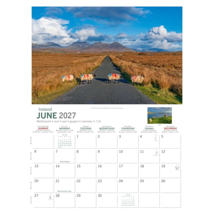 Calendrier 2027 Irish Sheep