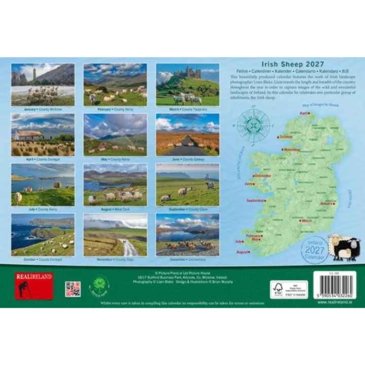 Calendrier 2027 Irish Sheep