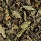 Dammann Frères Touareg Green Tea 50 Teabags 100g
