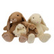 Peluche Bunny Marron 30 cm