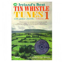CD 110 Titres Traditionnels de Flûte Irlandaise