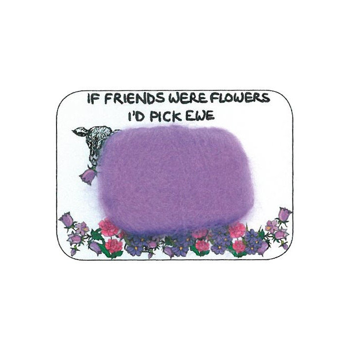Magnet Friends Flowers