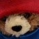 Ours Paddington Petite Peluche 19 cm