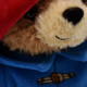 Medium Paddington Bear 27 cm