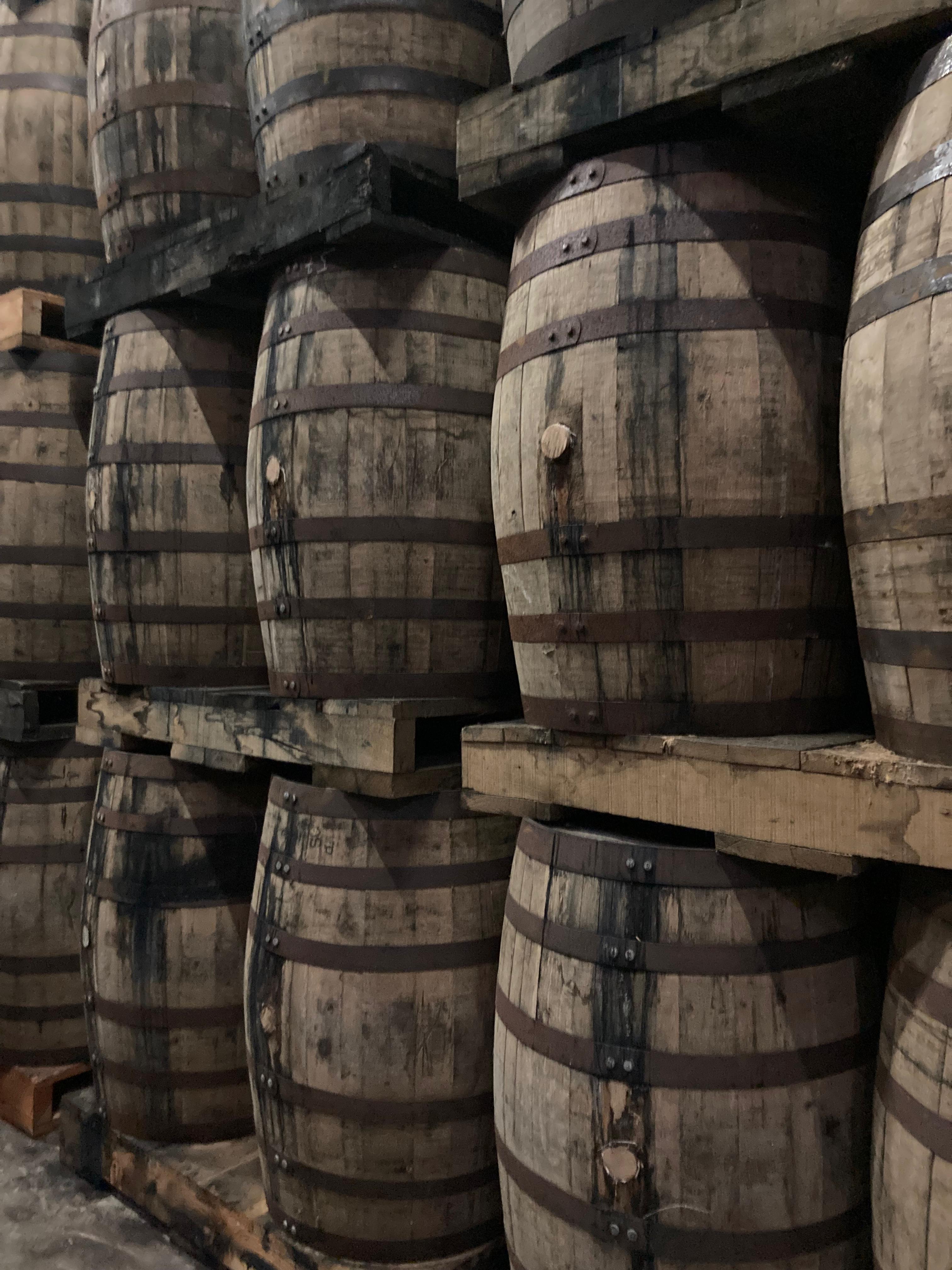 WhatsApp Image 2025-06-26 à 09-42-04_35d463ba.jpg