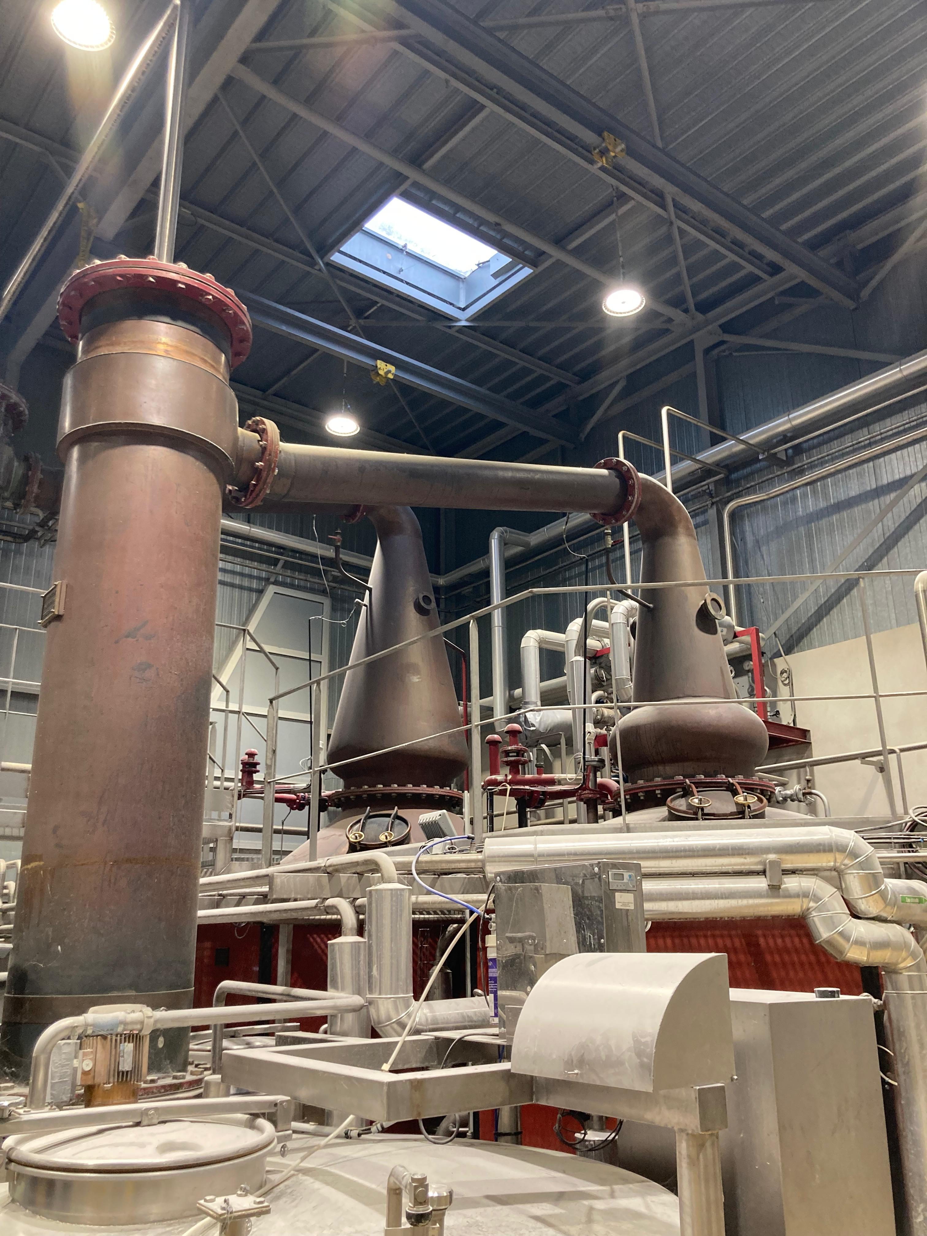 WhatsApp Image 2025-06-26 à 09-42-05_072248d8.jpg