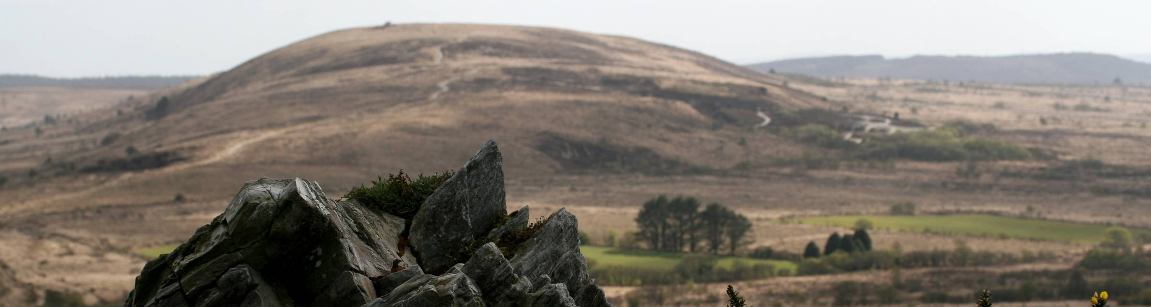 WhatsApp Image 2025-06-rtyy5_9e7339a9.png