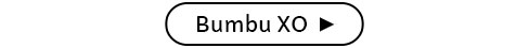 Bumbu XO