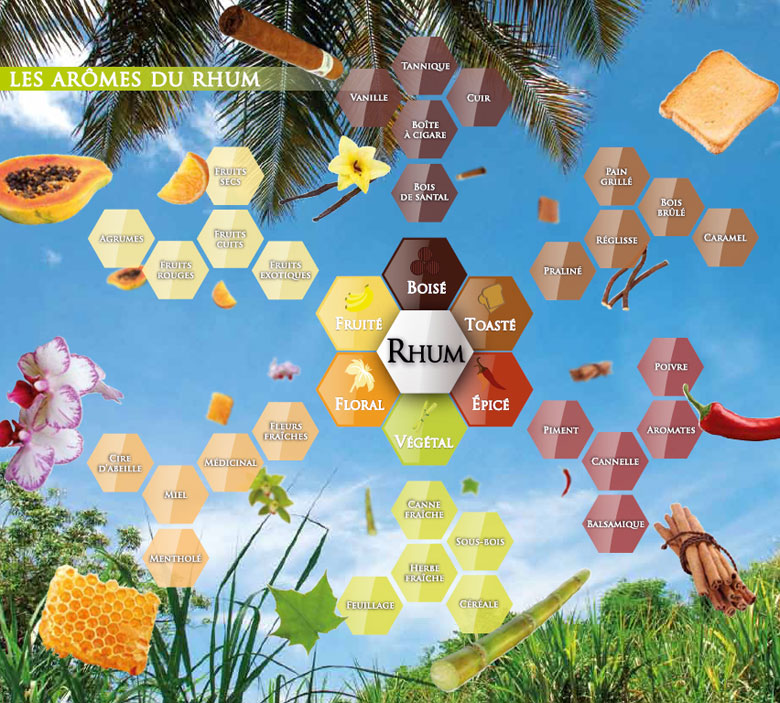 Palette aromatique du rhum